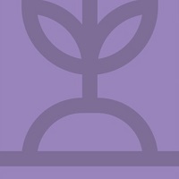 widget image